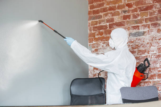 Best Asbestos and Lead Testing During Mold Inspection  in Roodhouse, IL