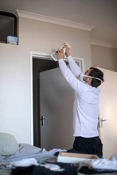 Best Water Damage & Mold Remediation  in Roodhouse, IL