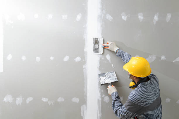 Best Mold Removal for HVAC Installations  in Roodhouse, IL