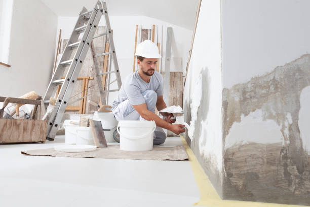 Best Mold-Related Health Consultation  in Roodhouse, IL