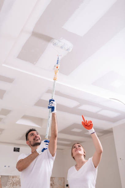 Best Mold Odor Removal Services  in Roodhouse, IL