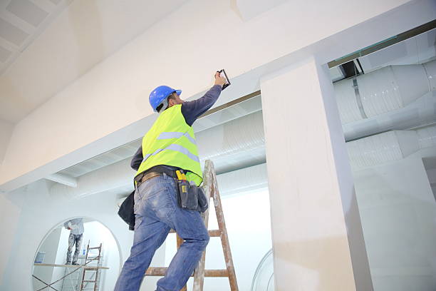 Best Post-Construction Mold Inspection  in Roodhouse, IL