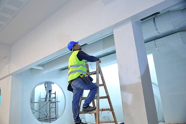 Best Air Quality Testing for Mold Spores  in Roodhouse, IL