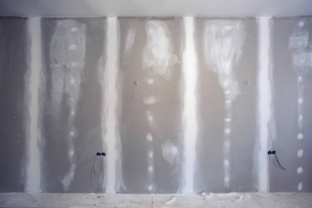 Best Emergency Mold Remediation  in Roodhouse, IL