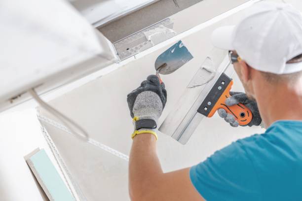 Best Dehumidification Services  in Roodhouse, IL